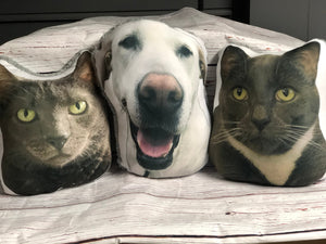 BerkSherp Photo Pillow