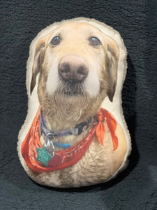 BerkSherp Pet Memorial Pic Pillow
