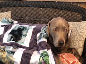 BerkSherp Photo Memory Minky Blanket