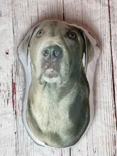 BerkSherp Photo Pillow